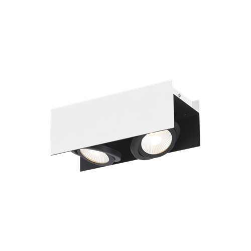 Vidago loftlampe i Metal Sort og Aluminium Hvid, 2x5,4W LED, længde 31 cm, bredde 13 cm, højde 11 cm.